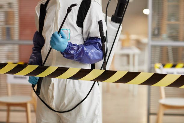 Professional Hoarding Cleanup technician working in Cairo, IL